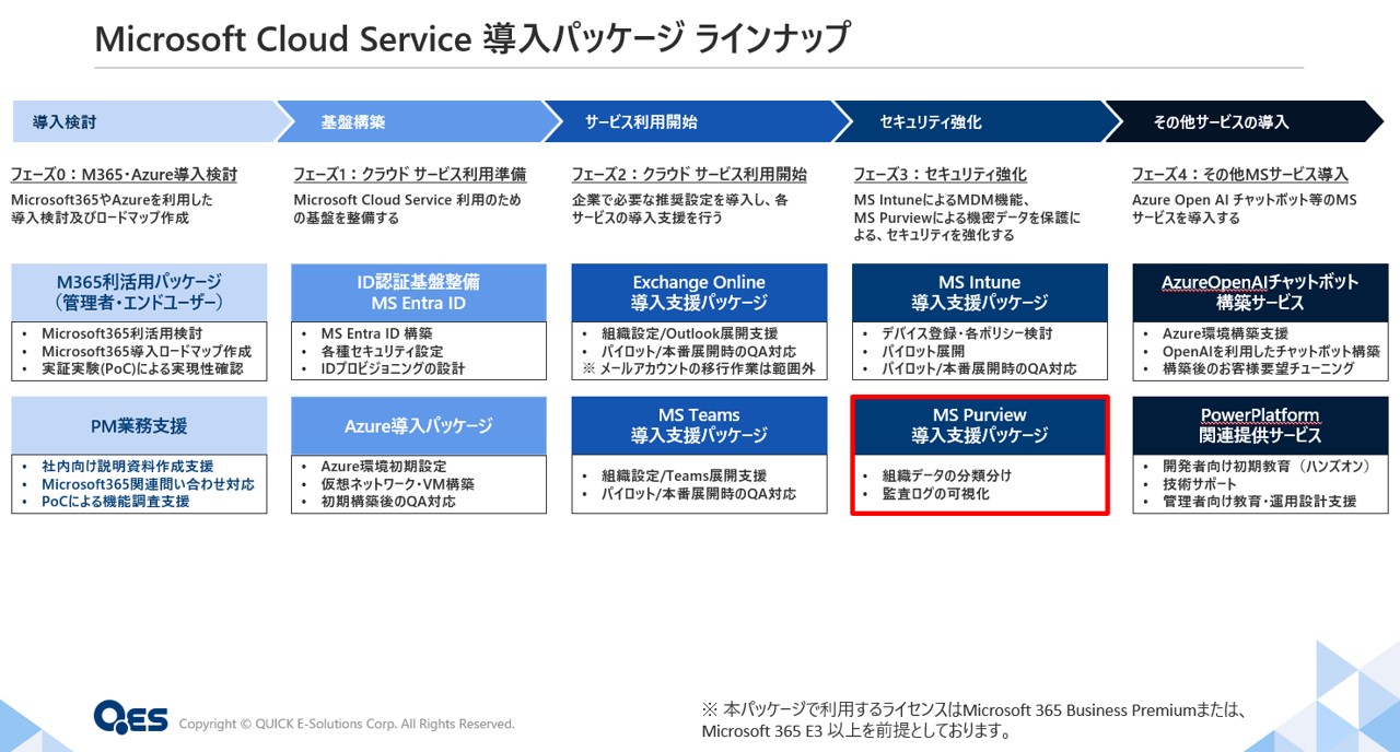 Microsoft Cloud Service - Microsoft Purview 監査パッケージ | QES